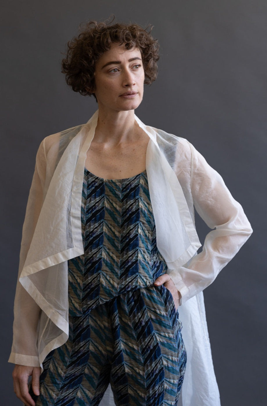 Lamina Duster